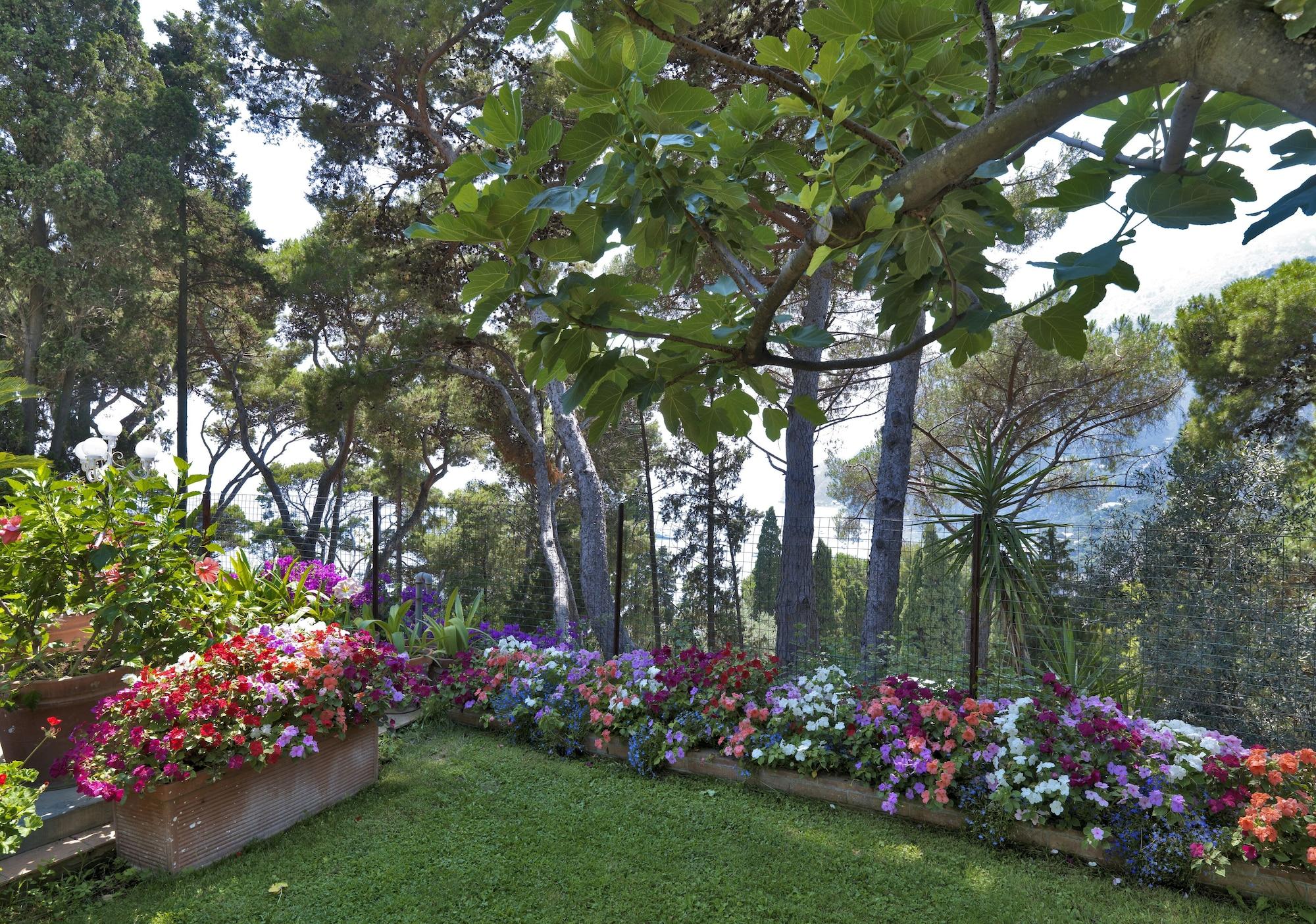 Hotel Villa Brunella Capri Zewnętrze zdjęcie
