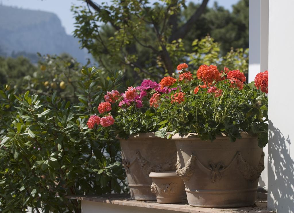 Hotel Villa Brunella Capri Zewnętrze zdjęcie